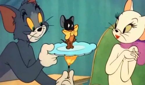 《经典动画回顾：猫和老鼠185集国语版全收录》