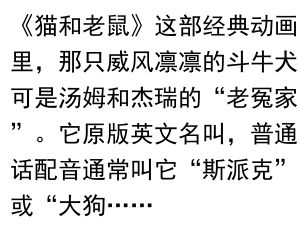 《猫和老鼠里的狗在云南方言里叫啥名？》