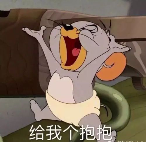 《猫和老鼠的爆笑瞬间：那些年追与被追的欢乐日常》