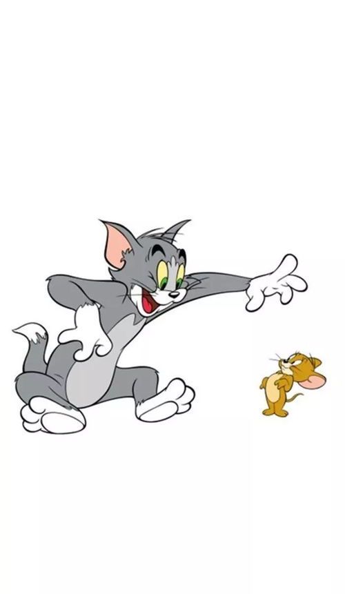 猫和老鼠：横屏世界的欢乐追逐
