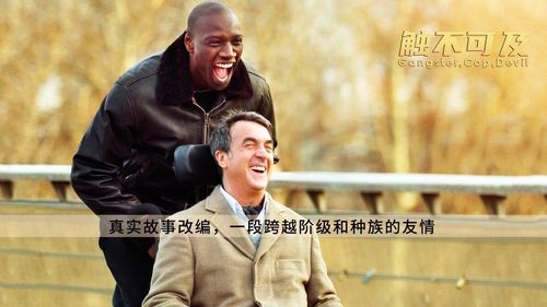触不可及的含义与人生启示