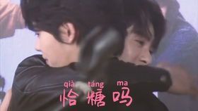 触不可及又何必执念