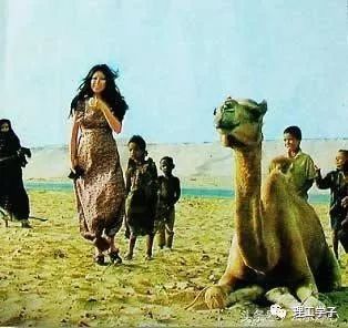 沙漠中的生命诗篇——《撒哈拉的故事》