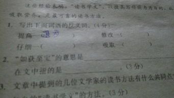 不变的魅力：探讨“改变”的反面