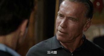 破坏者电影：经典动作片的英语完整版免费观看指南