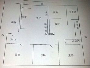 鱼缸摆放的风水讲究：家中最佳位置解析