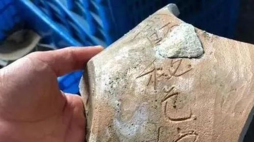 考古学中的“出土”是什么意思