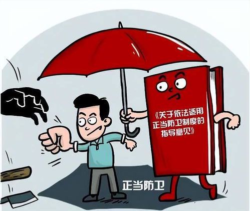 正当防卫的判定标准及其法律适用