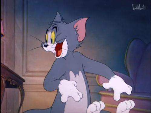 猫和老鼠的经典角色名称解析