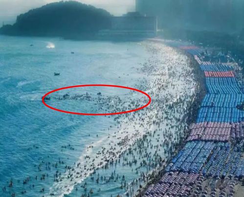暗流如潮：深海之下的隐秘世界