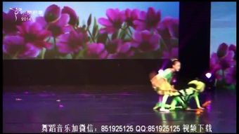 独舞舞蹈视频大全：探索个人舞台的魅力