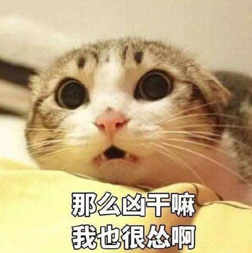 太棒了图片表情包的魅力解析