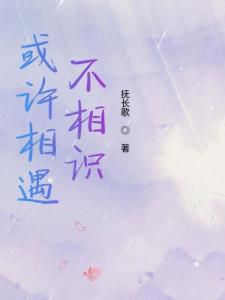 似曾相见不相识：记忆与错觉的交织