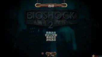 生化奇兵2中文设置指南：详细步骤解析