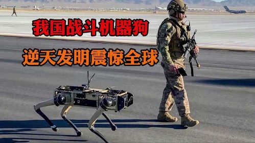战争机器狗:未来战场的新锐力量