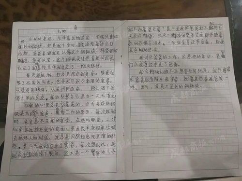 《一份特殊的礼物》