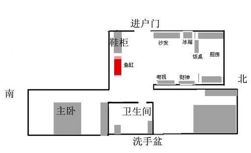 鱼缸摆放的风水与科学指南