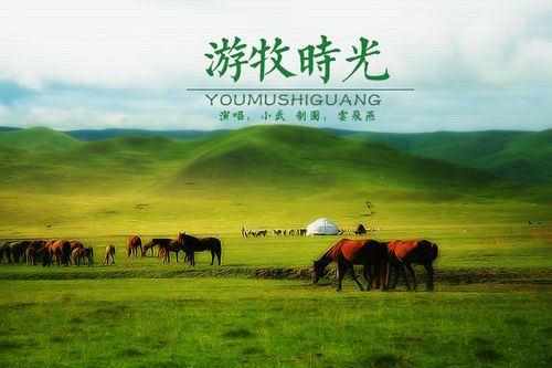 独舞游牧时光