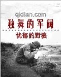 独舞的军阀：权力阴影下的孤独者