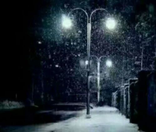 《独舞如雪，孤飞似云：诗意中的孤绝与自由》