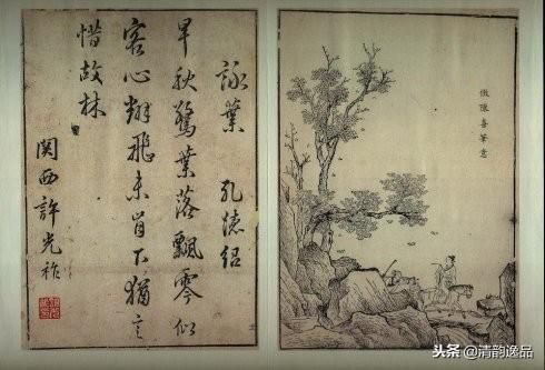 孤影磐石畔，群羽掠波间
