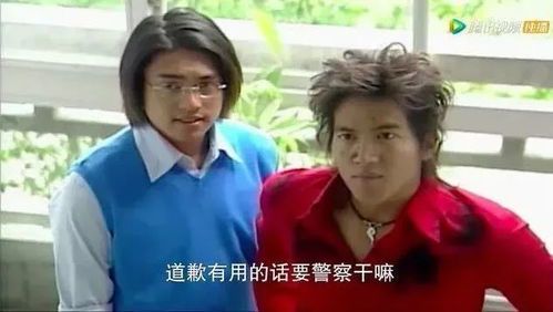 似曾相识不相识