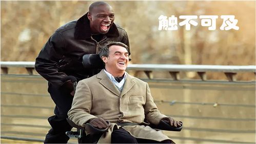 如何免费观看《触不可及》电视剧全集（1-40集）
