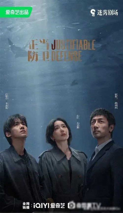 《张鲁一高叶主演〈正当防卫〉：免费观看指南与剧情解析》