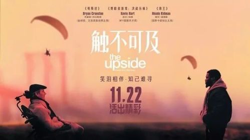 触不可及:跨越阶层的友谊之光