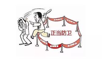 正当防卫的法律定义及其适用条件