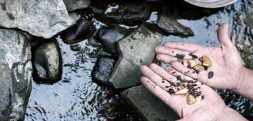 稀有金属锎的市场价格解析