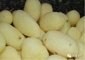 收获土豆的最佳时机