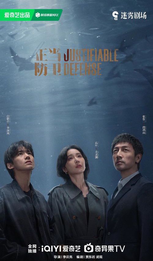 正当防卫：法律与人性的交织