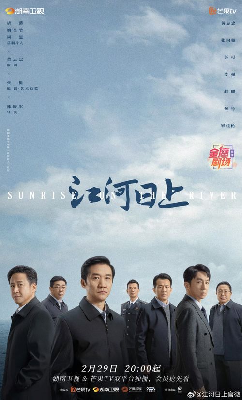 暗流涌动：一部值得深思的悬疑剧集
