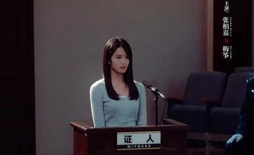 正当防卫：李沐风的命运抉择