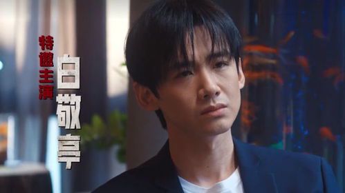 《正当防卫》电视剧主演阵容全解析
