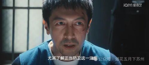 标题：正当防卫背后的真相：谁在操控舆论与法律？