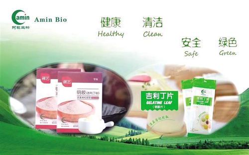 阿敏明胶：特性与应用领域解析