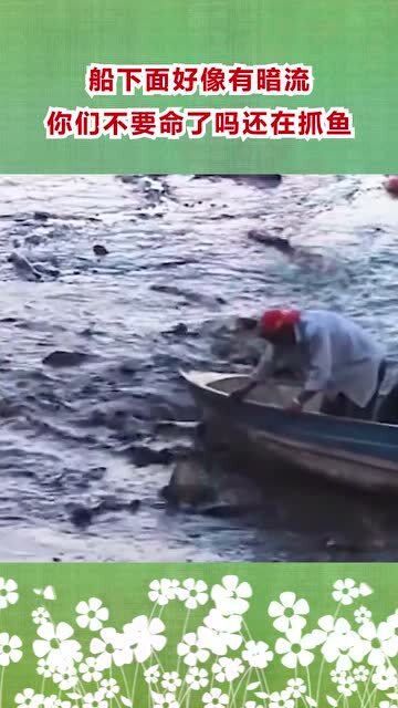 暗流如潮：深海之下的隐秘世界