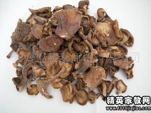 雨后春笋——从歇后语看生命力的蓬勃
