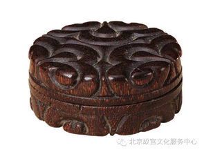 古代珍稀遗存：出土犀牛角的形态特征解析