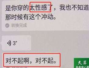 阿敏的含义与用法解析