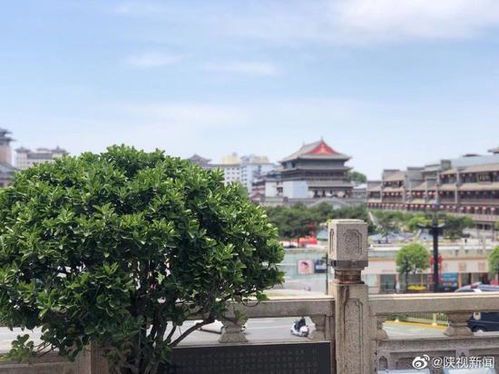 钟楼到西安博物馆的距离及交通指南