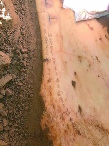 商代甲骨文出土遗址探秘