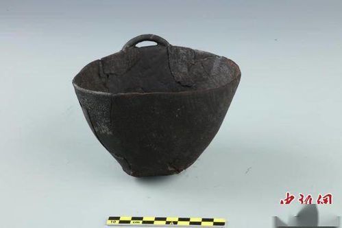 远古文明的见证：出土8000年前的文物