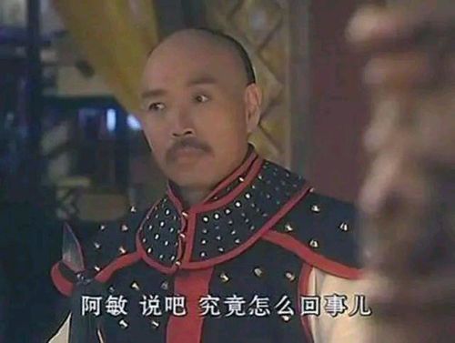 阿敏与莽古尔泰的血缘关系探究