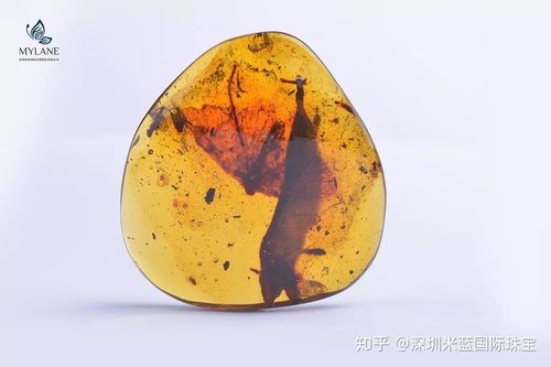 千年瑰宝:出土琥珀的神秘世界