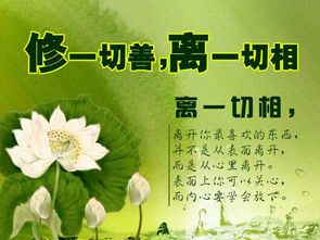 无法改变他人,就学会改变自己