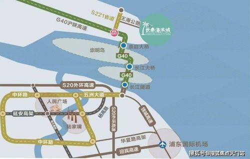 罪爱深渊:周颖与贺晓军的命运纠葛