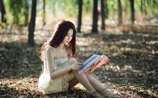 触不可及:网络文学中的情感迷宫